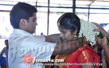 Raju Vidya Marriage PhotoAlbum